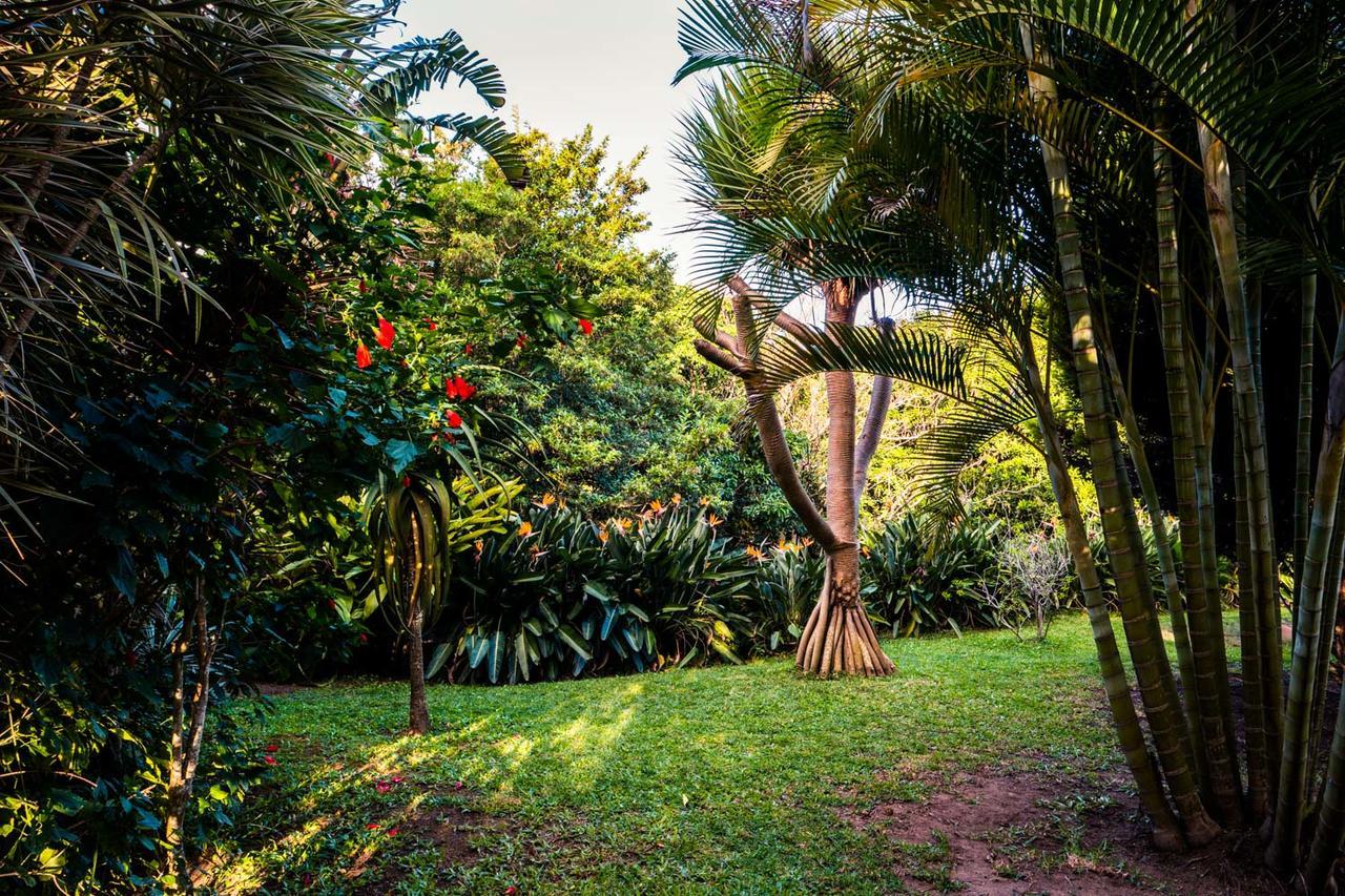 Bushbuck Lodge Southbroom Exterior photo